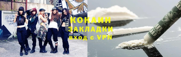 бошки Белокуриха