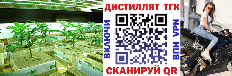 Дистиллят ТГК концентрат  где можно купить   Будённовск 